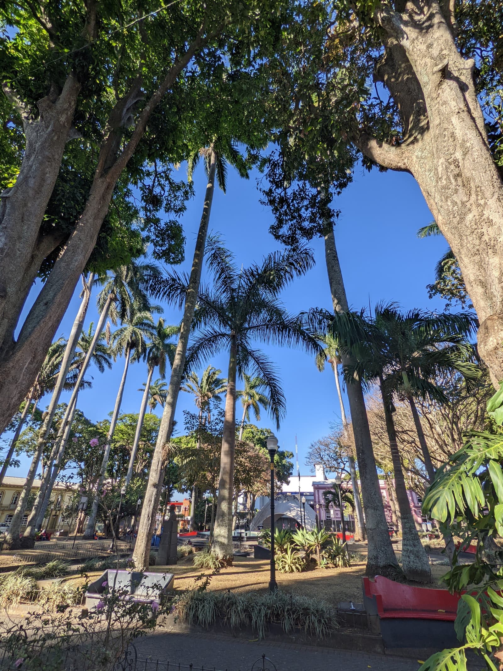 Walking paths
